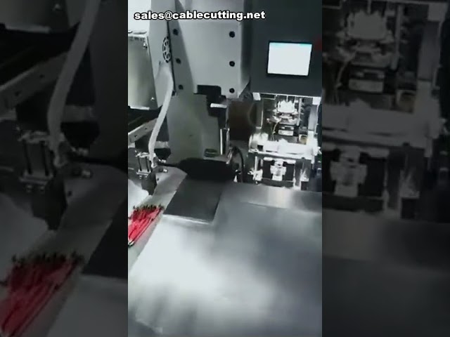 Αυτόματη Δικέφαλη Μηχανή Στεγανοποίησης Μπουλονιών για Καλώδια
